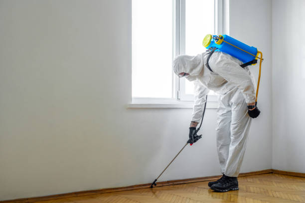 Lyons, CO Pest Control Company