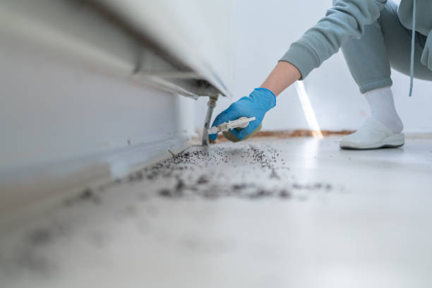 Lyons, CO Pest Control Company